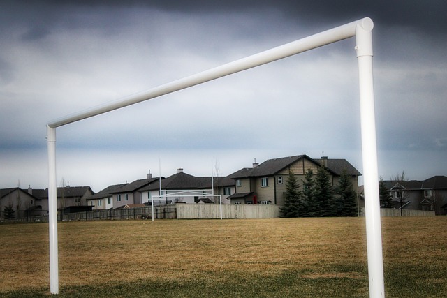 本没有以正 本没有以正