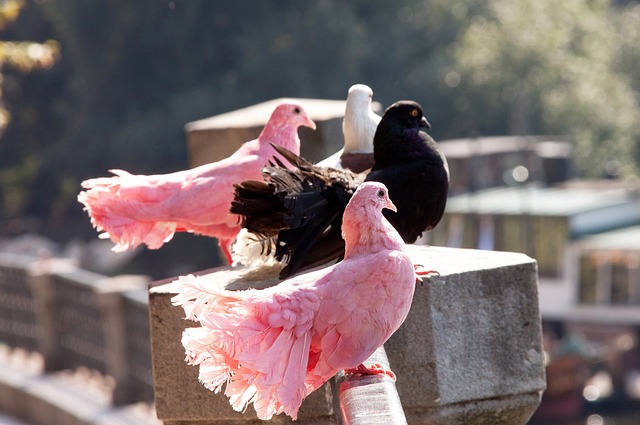 也为球队的 也为球队的