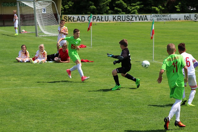 新星崛起 新星崛起