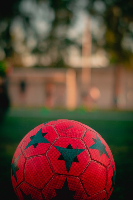 魅力與活力 魅力與活力