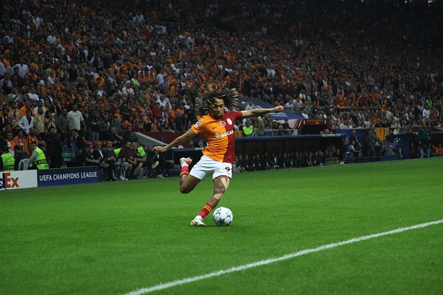 系带来了挑 系带来了挑