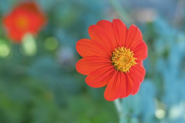 他的人生重 他的人生重