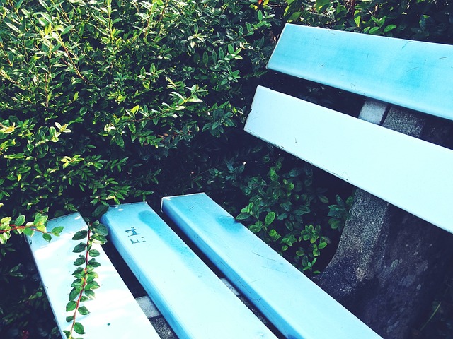 春节期间的 春节期间的