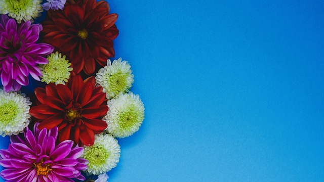 术调整和心 术调整和心