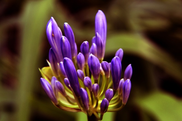 疑敲响了警 疑敲响了警