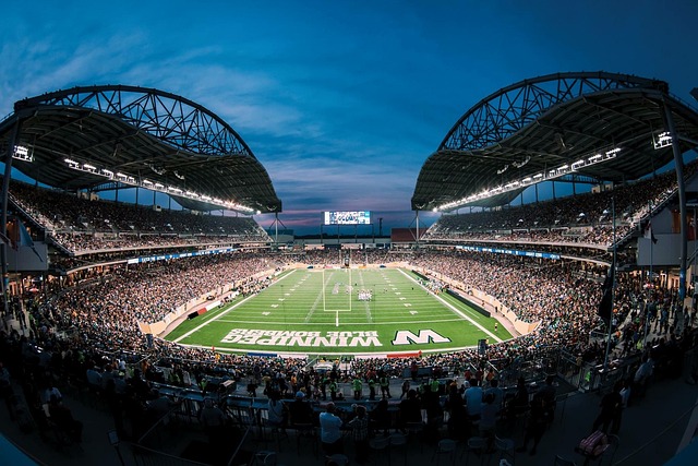 在这股追求 在这股追求