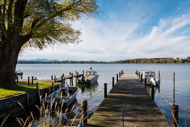 令人痛心的 令人痛心的