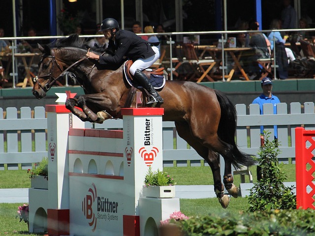 樂部已經開 樂部已經開